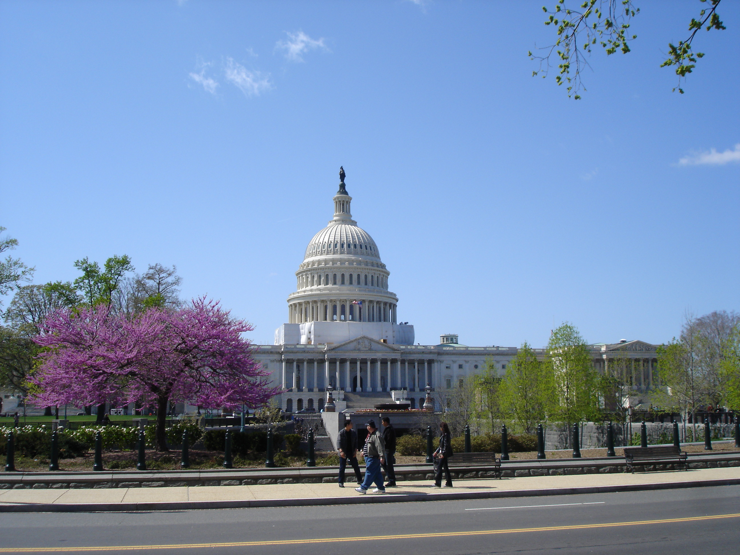 Street capital. Capitol tr. American Garden 81 Street.