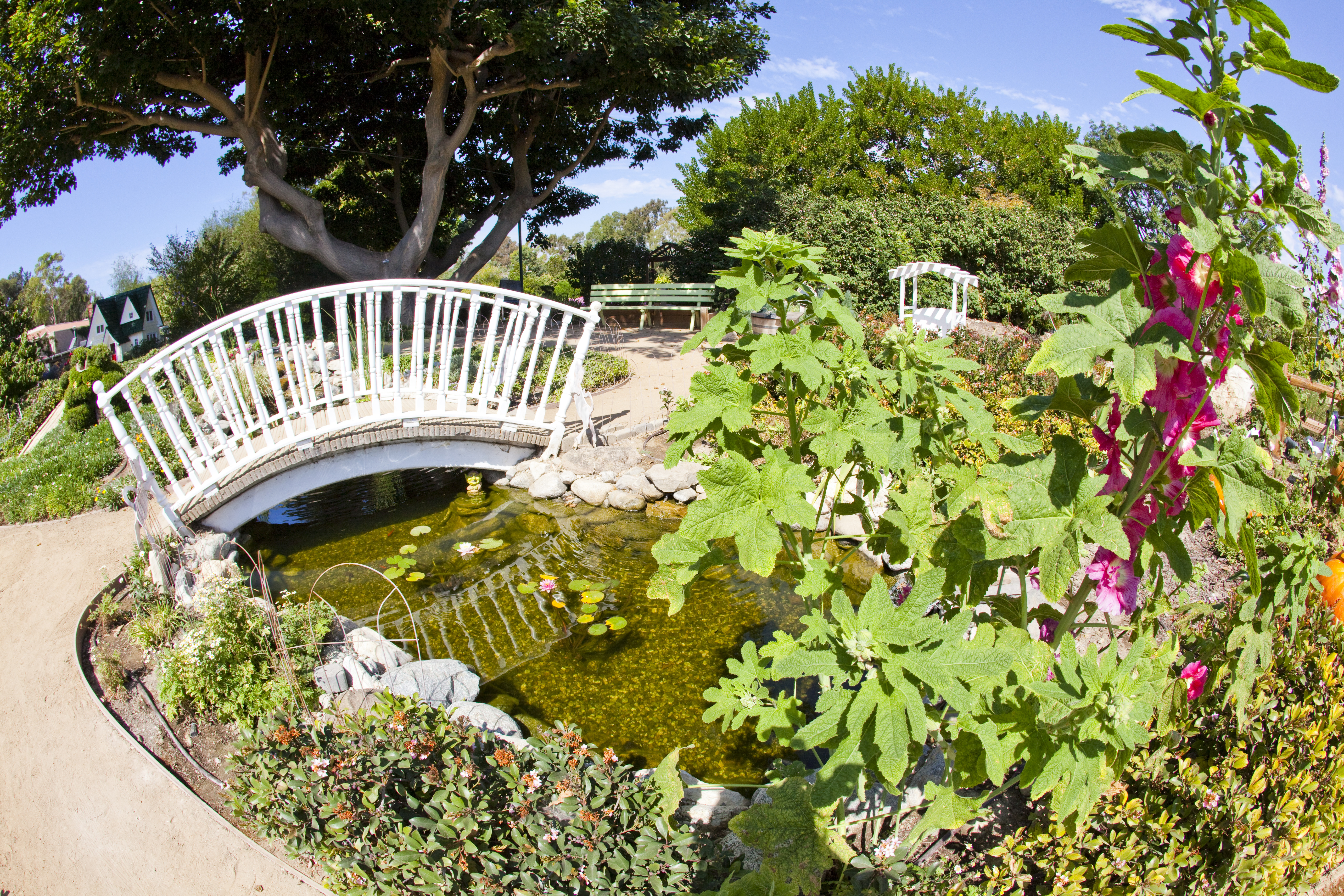 South Coast Botanic Garden Wikiwand