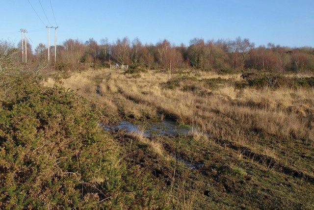 Chudleigh Knighton Heath