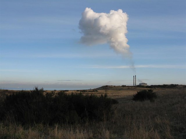 File:Coastal grassland at Prestongrange - geograph.org.uk - 1119811.jpg