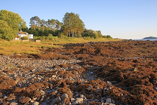 File:Coastline Near Portobeagle - geograph.org.uk - 2040517.jpg