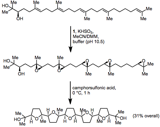 Epoxidation with dioxiranes Wikipedia 