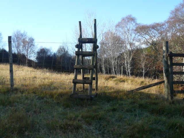 File:Deer-fence crossing near Badvoon. - geograph.org.uk - 1570589.jpg