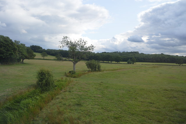 File:Ditch in the Rother Valley - geograph.org.uk - 4756514.jpg