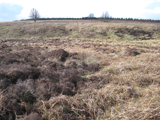 File:Fairthorn Clough - geograph.org.uk - 1753533.jpg