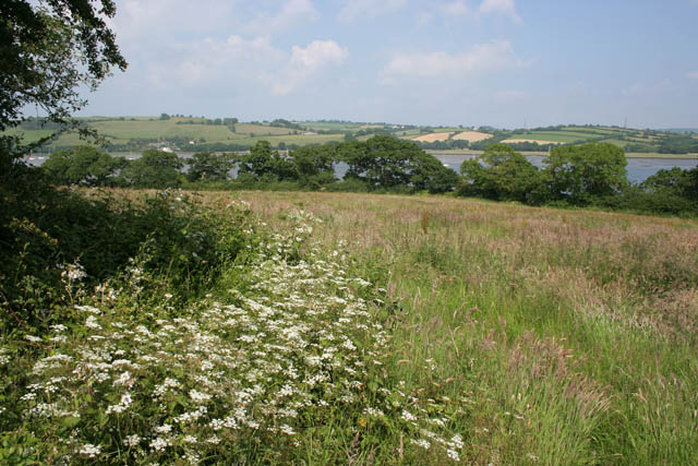 File:Farmland off Coombe Lane - geograph.org.uk - 469594.jpg