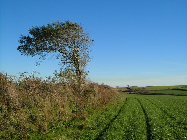 File:Field edge near Hunts Cross - geograph.org.uk - 274673.jpg