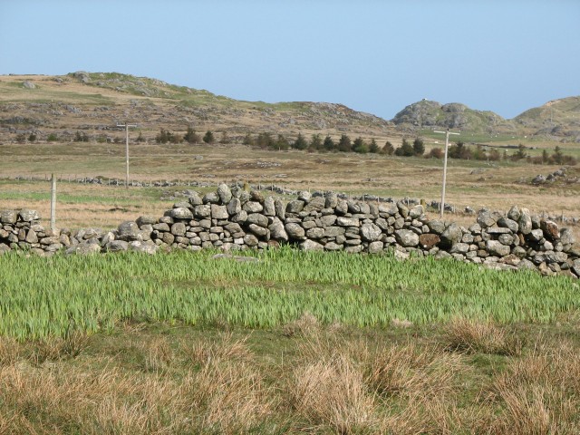 File:Fields - geograph.org.uk - 166354.jpg