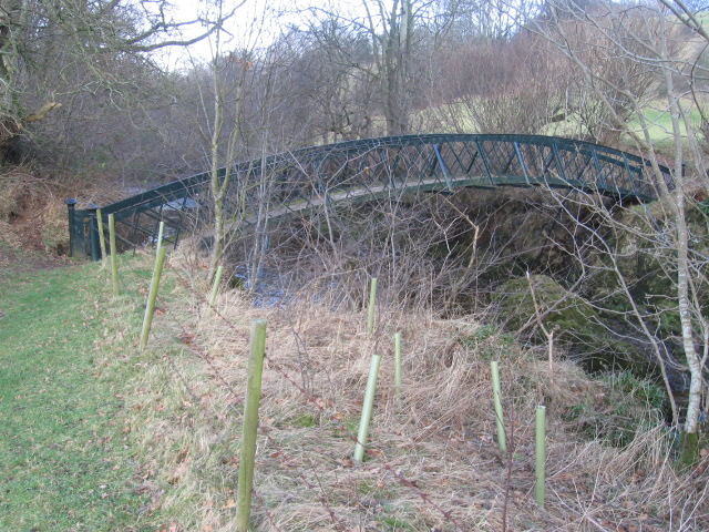 File:Footbridge over River Nethan - geograph.org.uk - 682920.jpg