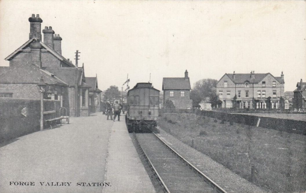 Forge Valley railway station
