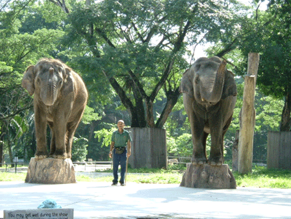 File:Gajahshow zoonegara.gif