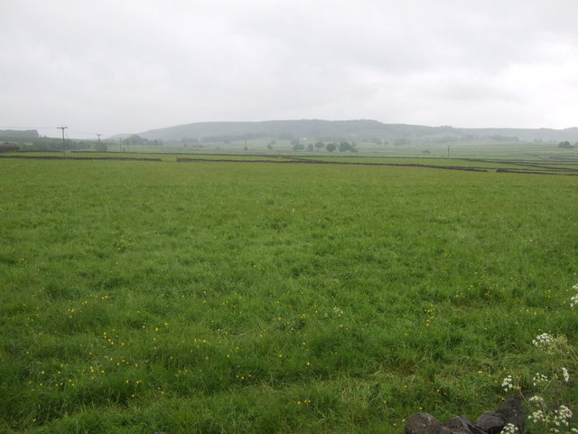 File:Grazing east of Lane Head - geograph.org.uk - 3999049.jpg