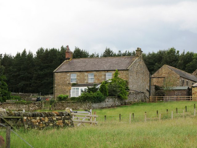 File:Grindon - geograph.org.uk - 472601.jpg