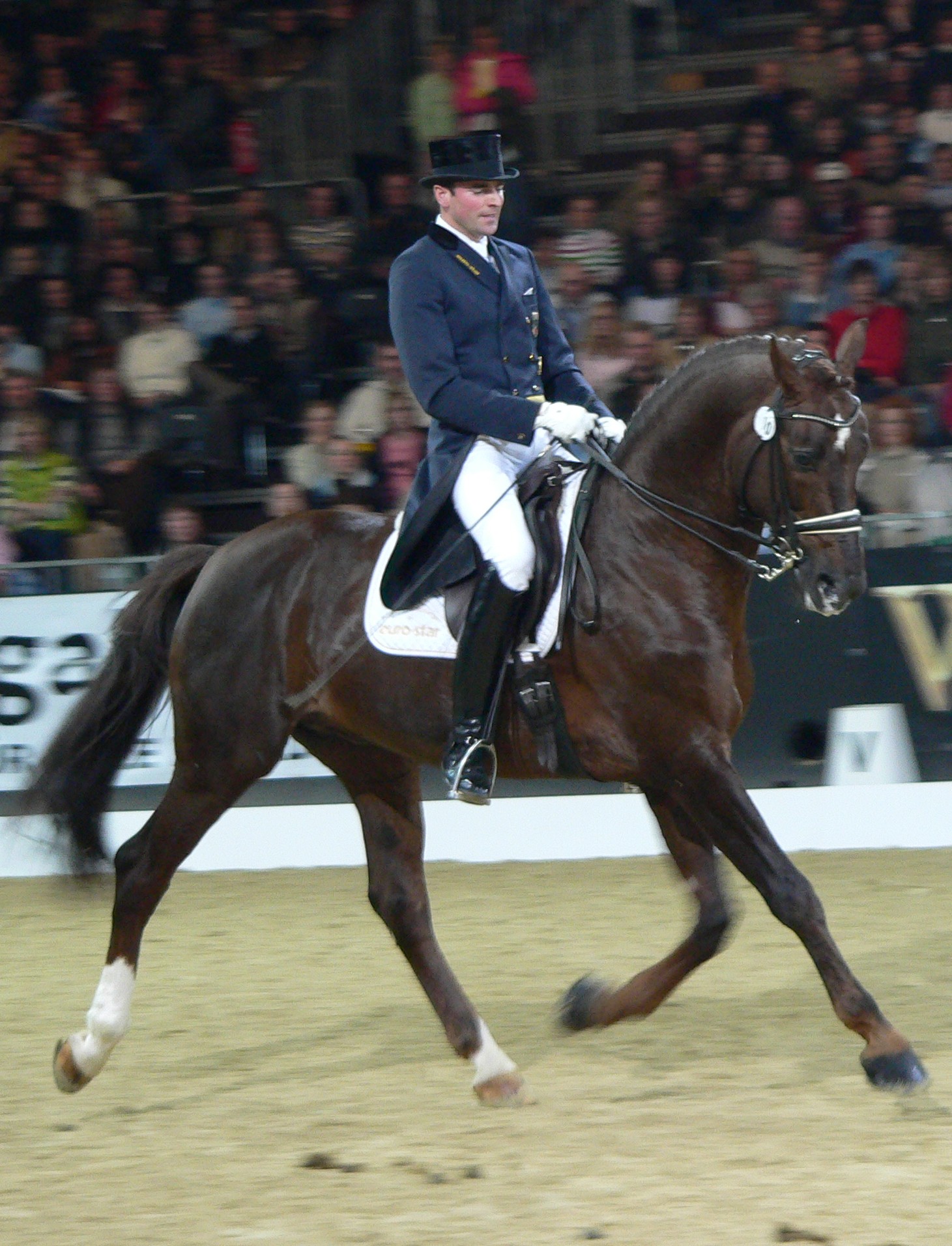 Dressage Wikipedia