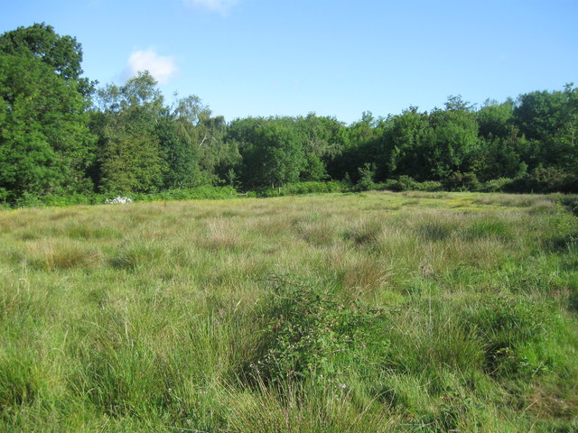 Hazleton Common, Horndean