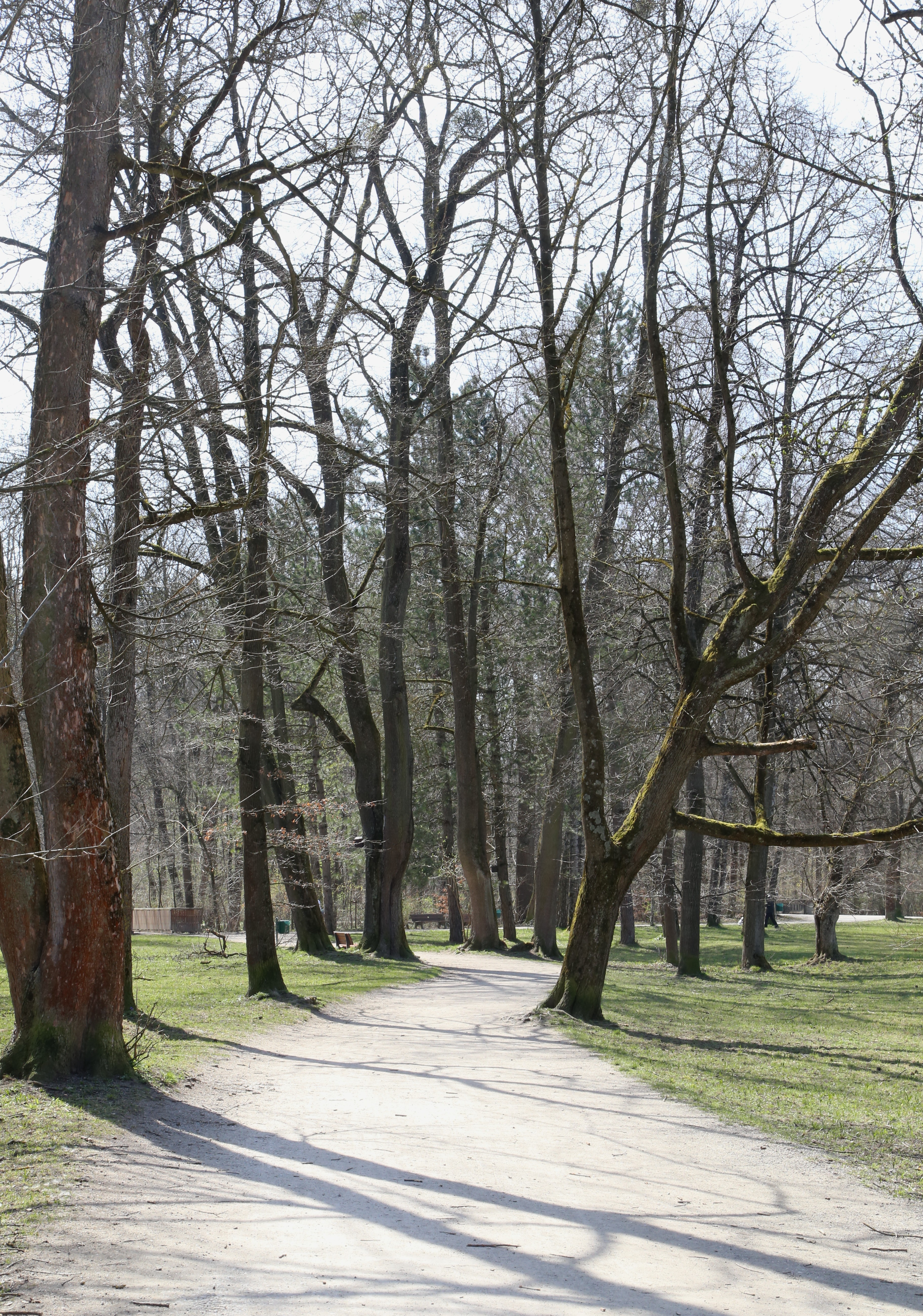 File Hirschau Englischer Garten Nordteil Muenchen 10 Jpg