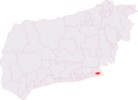 Kingston Buci (electoral division)