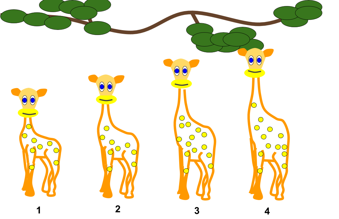 file lamarckian inheritance giraffes png wikimedia commons