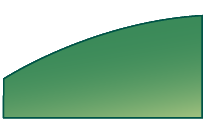 File:Leaf morphology entire.png