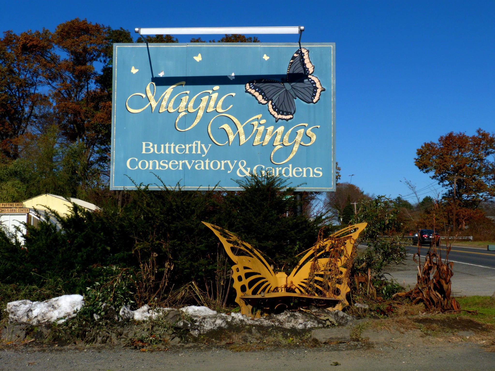 File Magic Wings Butterfly Conservatory South Deerfield