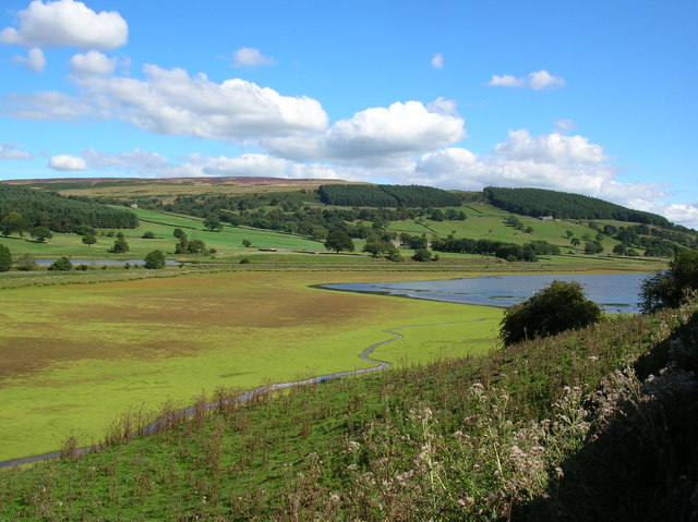 Marshland at Gouthwaite - geograph.org.uk - 225571