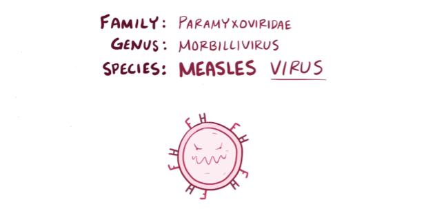 Image 3 of measles video