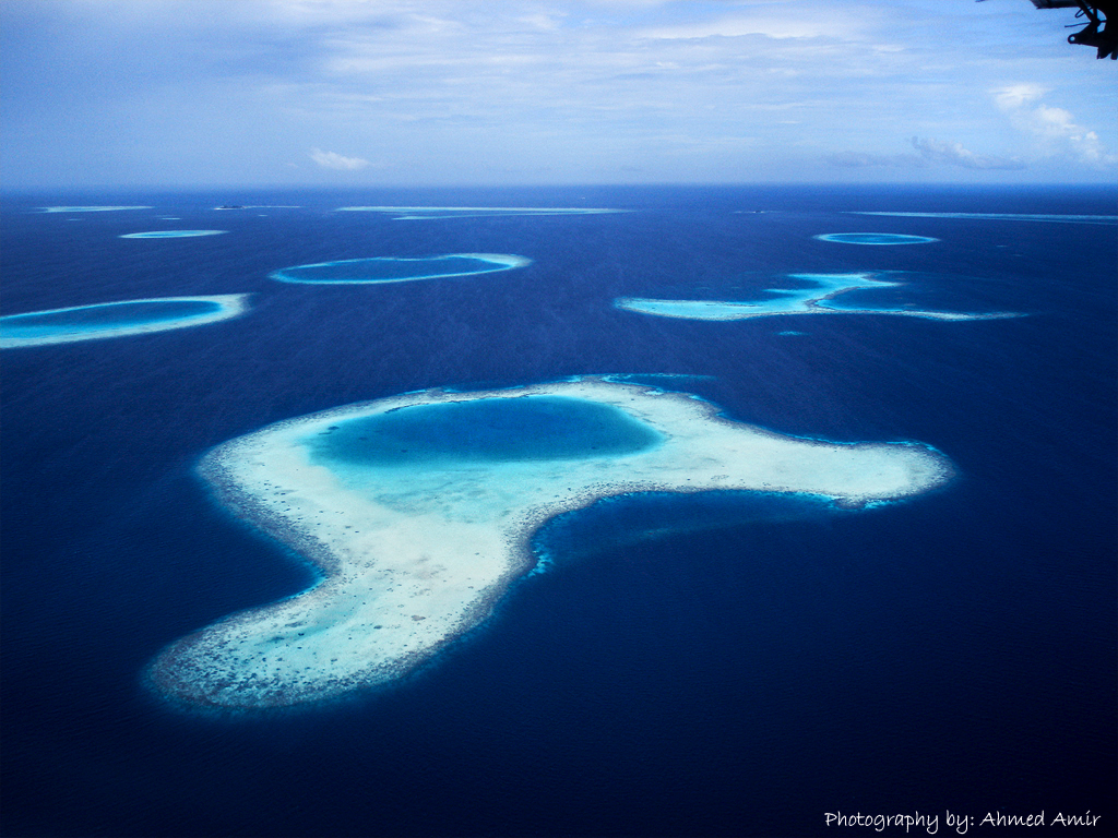 Over the reefs - Flickr - © Ahmed Amir