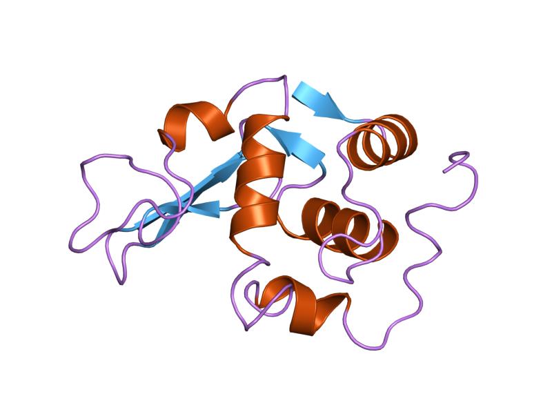 File:PDB 1lhm EBI.jpg