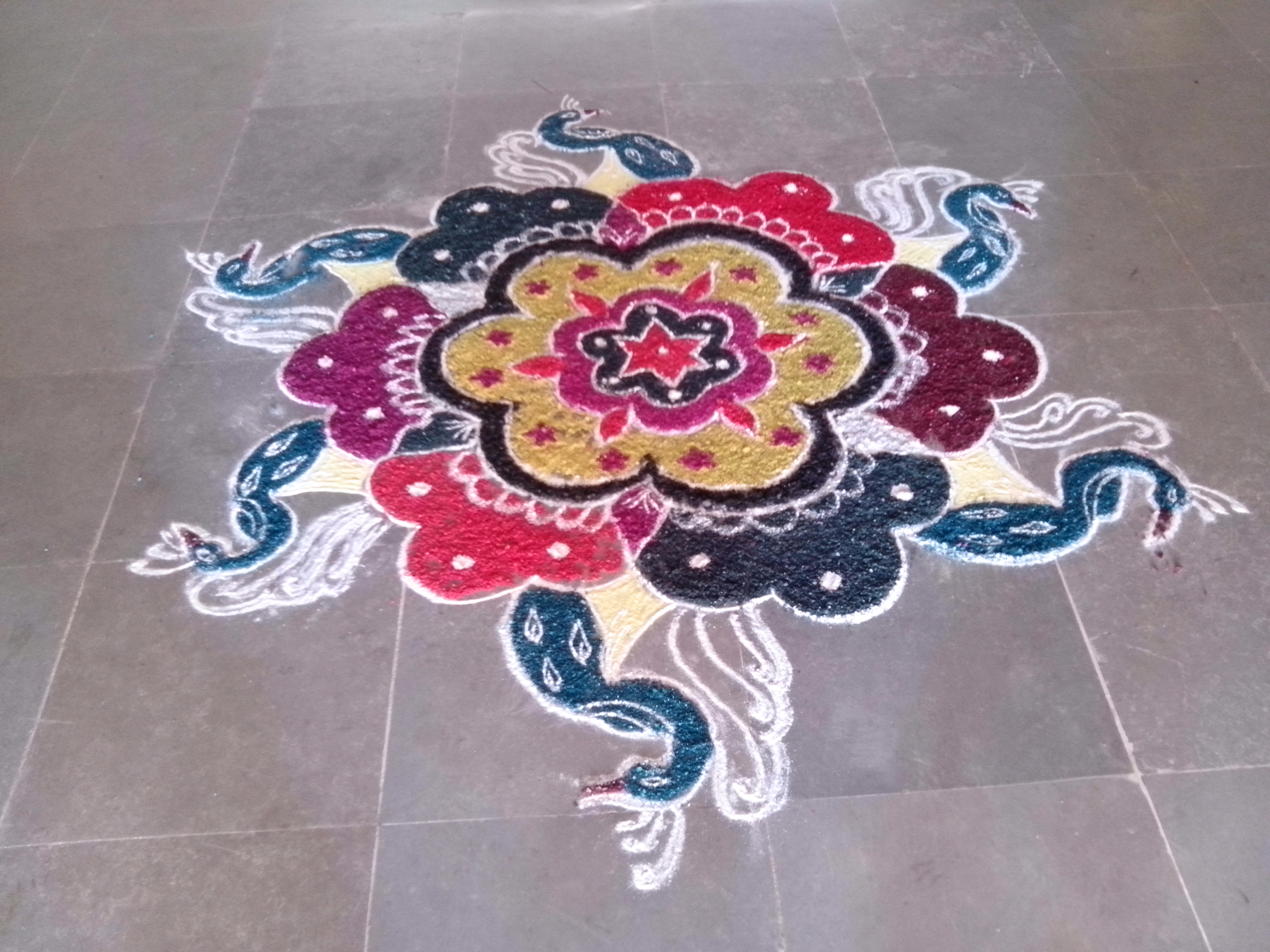 Featured image of post Peacock Kolam Images