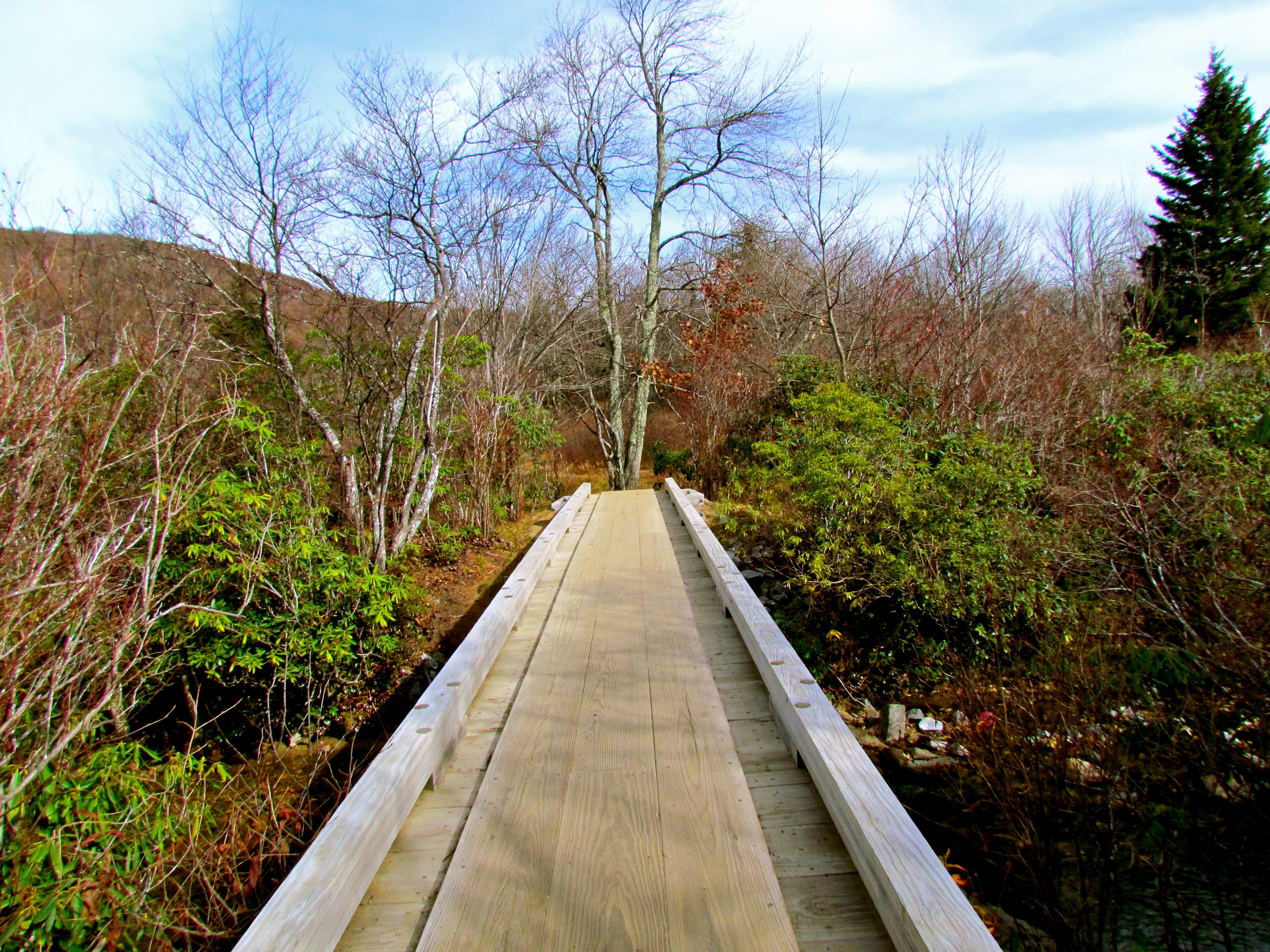 Pisgah National Forest