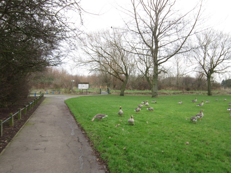 File:Playing fields off Noddle Hill Way, Hull - geograph.org.uk - 3291570.jpg