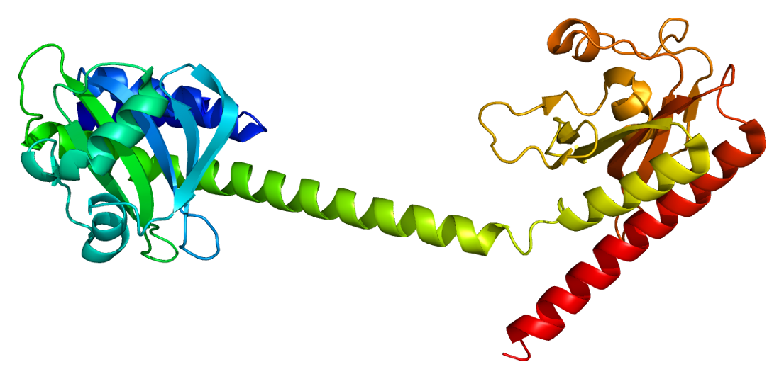 Фермент pde11a. Mc1r ген. Шаблон гены. PDES. 11 б ген