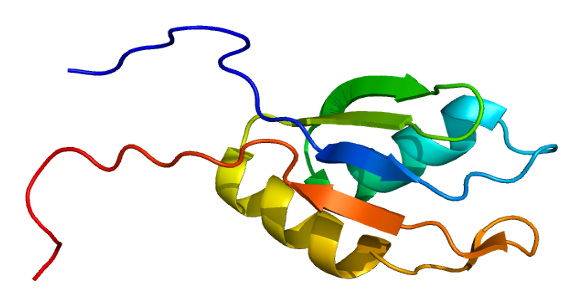 File:Protein RBM14 PDB 2dnp.png