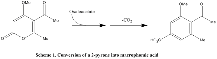 Схема 1 macrophomic acid.gif