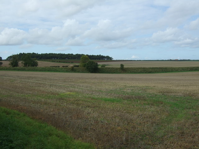 File:Stubble field off Walsingham Road - geograph.org.uk - 5557878.jpg