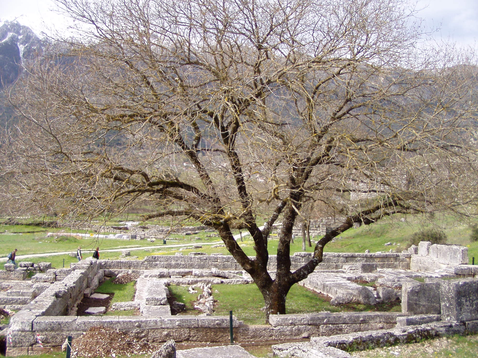 Temple of Zeus in Dodona 7.jpg