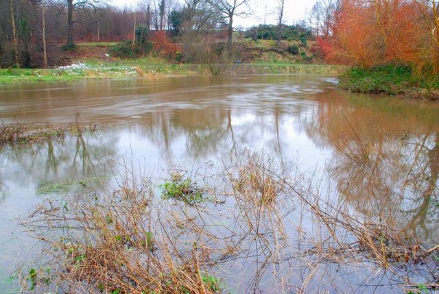 File:The Lagan and Minnowburn near Belfast - geograph.org.uk - 654318.jpg