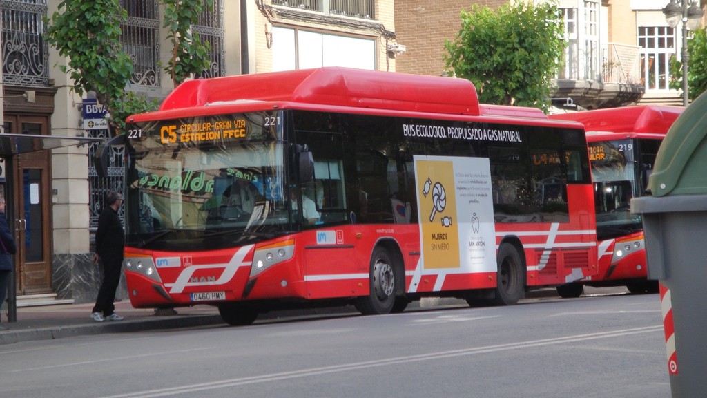 Transporte público mallorca