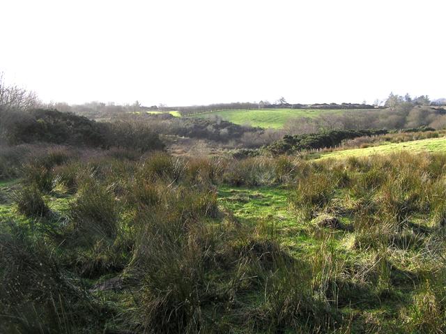 File:Tullyquin Glebe Townland - geograph.org.uk - 303656.jpg