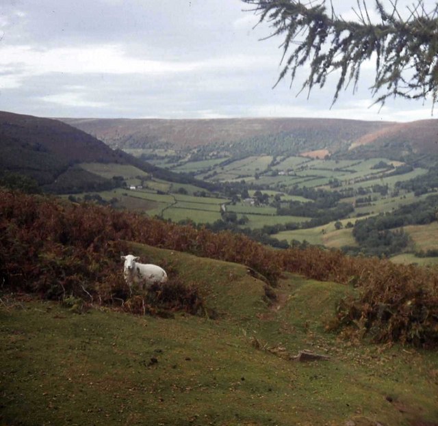 Vale of Ewyas