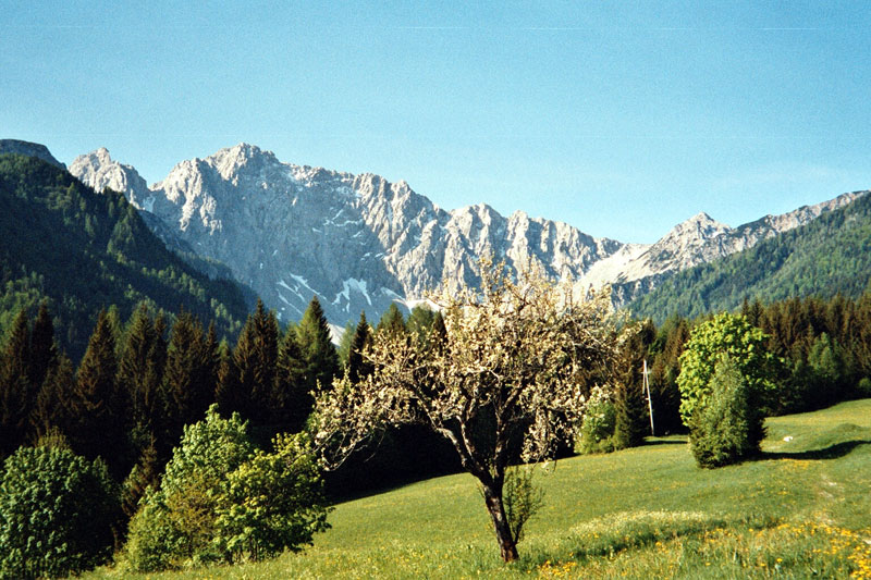 File:Vertatscha Bodental.jpg