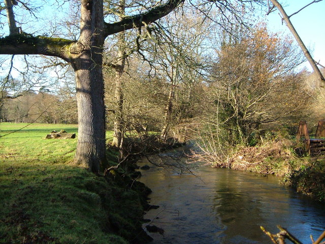 File:Yealm below Rough Torrs - geograph.org.uk - 295485.jpg