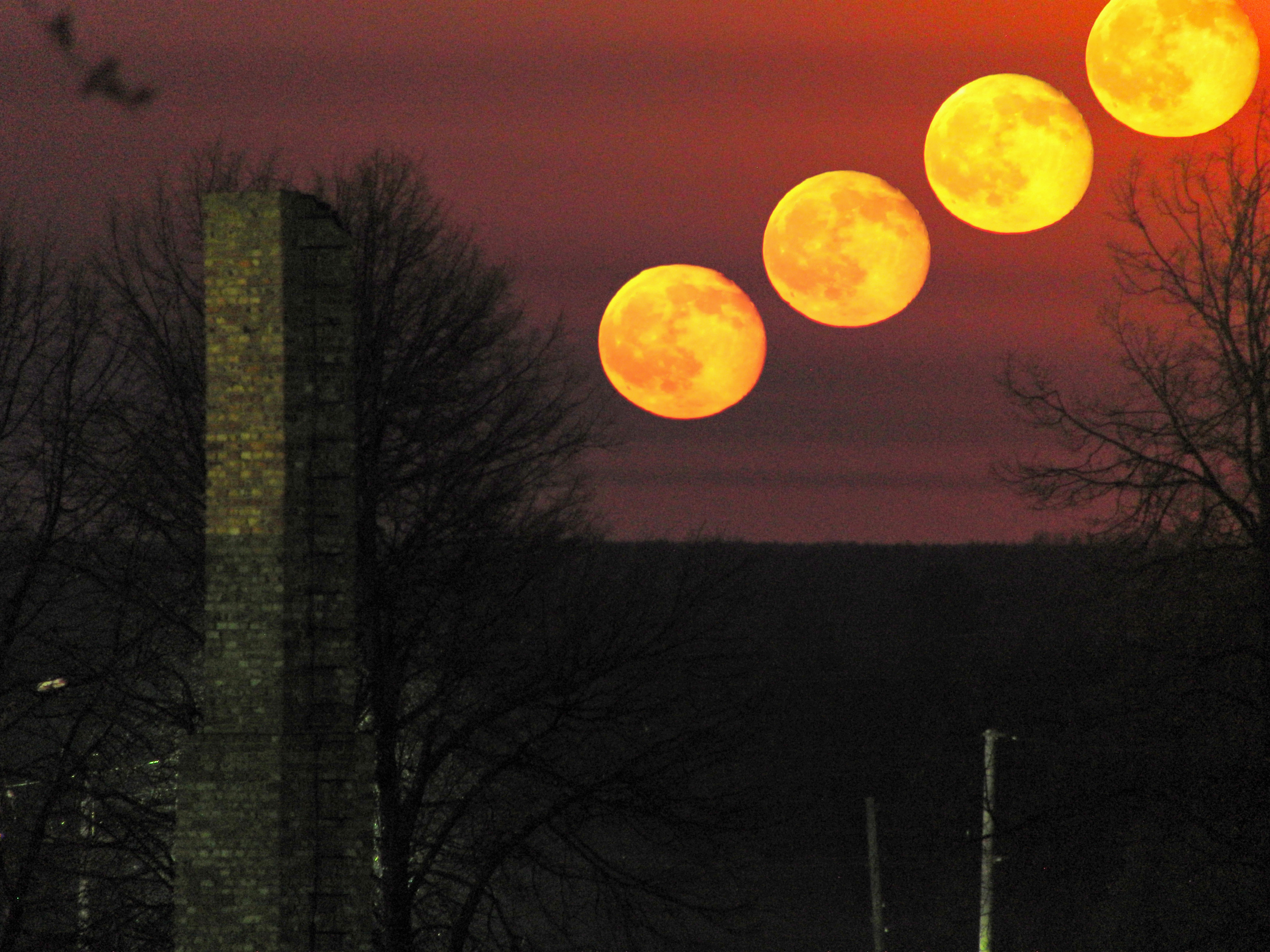 Восход луны купить. Восход Луны. Восход полнолуния. Восход Луны на экваторе. Восход Луны фото.