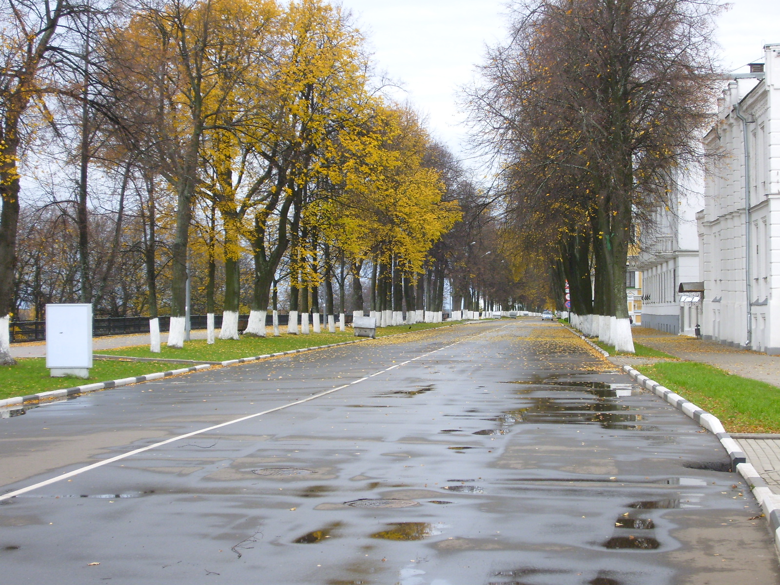 Улица волжская тамбов. Улица Кедрова Ярославль. Волжская улица Москва. Набережная Кирова.