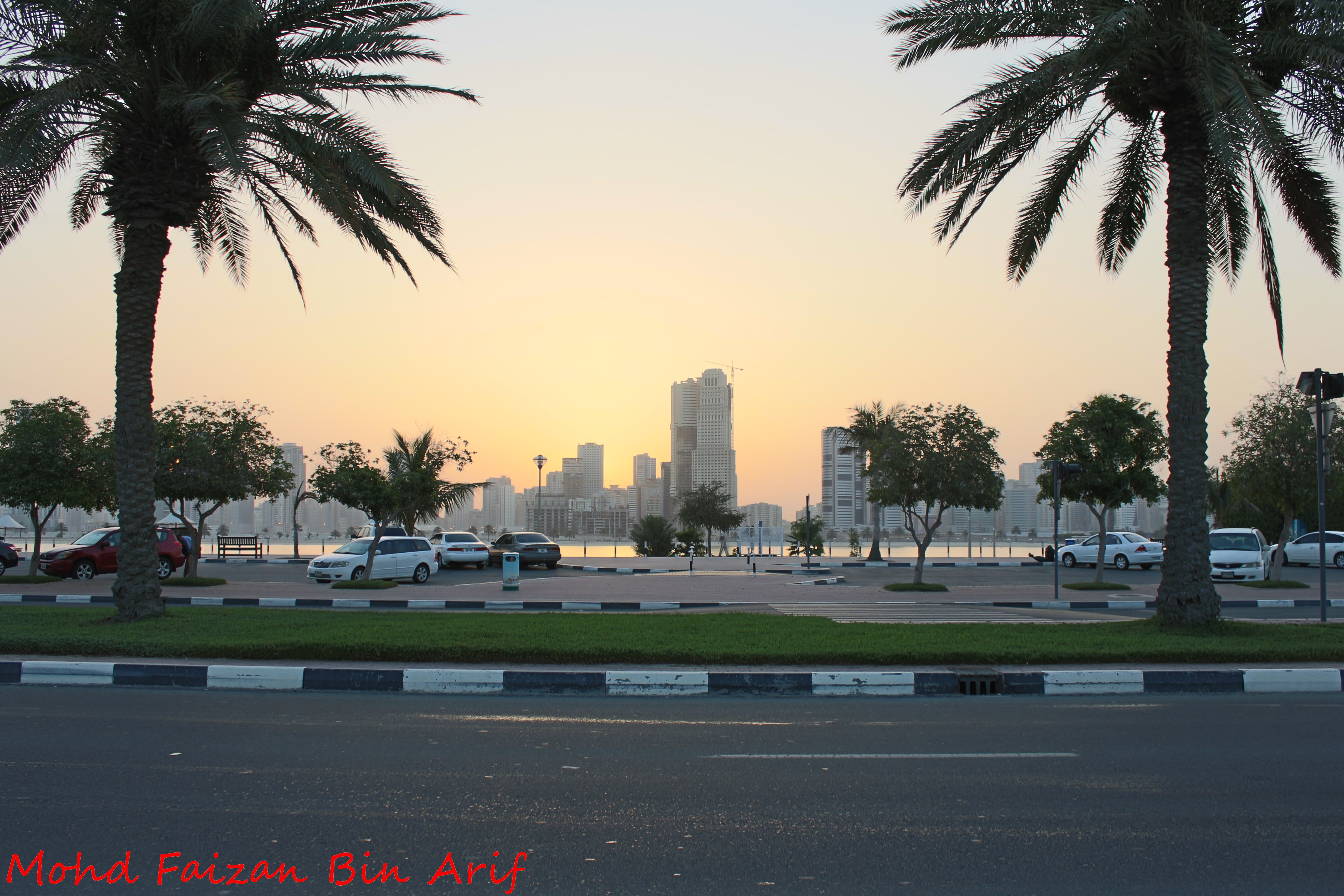 Парк аль мамзар. Эмираты Аль Мамзар. Al Mamzar Park Дубай. Пляж Аль Мамзар в Дубае. Парк пальм в Шардже.