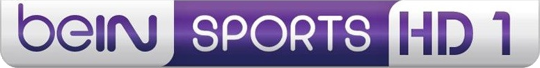 File:BeIN SPORTS HD1 logo.png - Wikimedia Commons