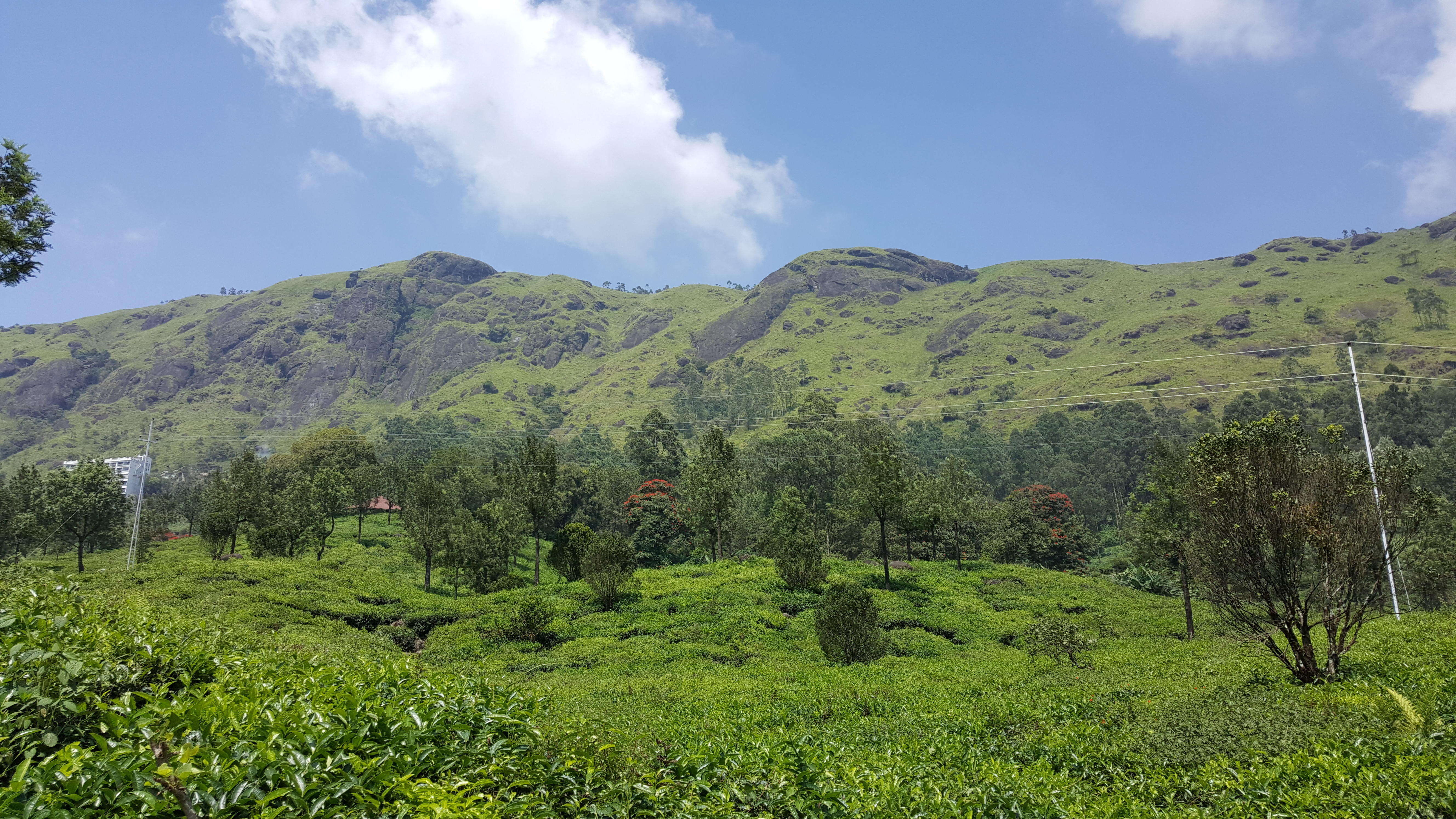 Beautiful green hills