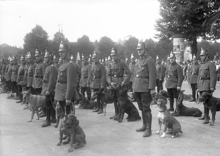 File:Bundesarchiv Bild 102-11696, Polizeihundführer bei einer Vorführung (cropped).jpg