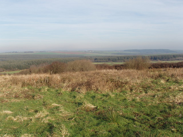 File:Bursdon Moor at Summerville Cross - geograph.org.uk - 687855.jpg