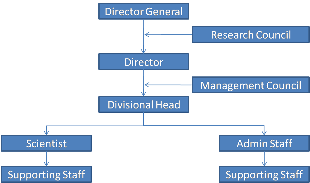 Tech Mahindra Organizational Chart